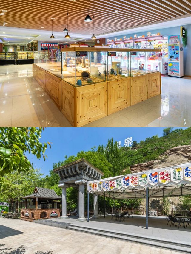 春節全家行去哪裡呀?鞍山卓閱清水灣溫泉酒店+千山滑雪場