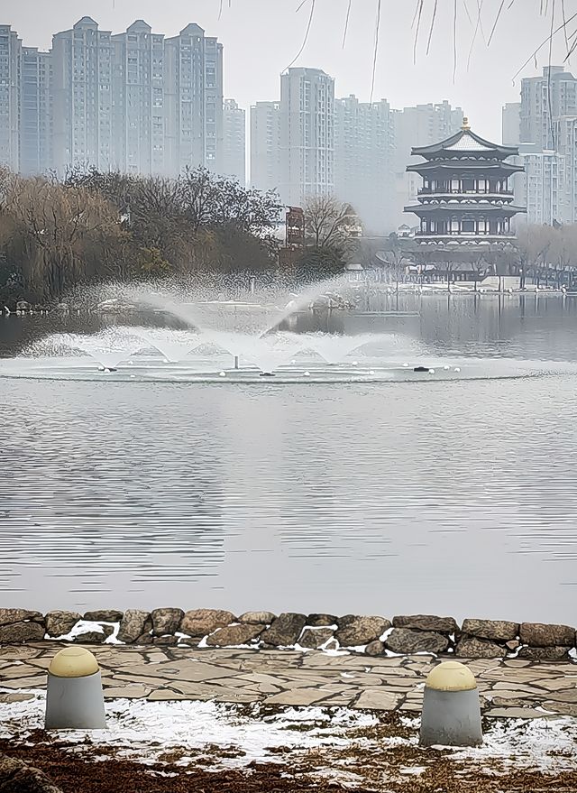 臘月二十六，大唐芙蓉園張燈結彩迎龍年