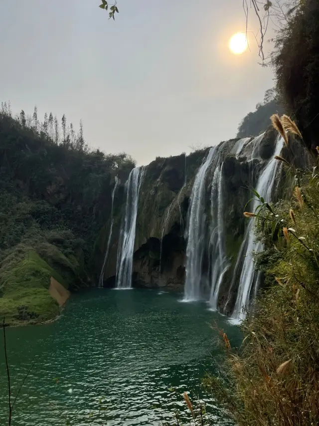 太哇塞了拉簾即見系列，除了油菜花還有……