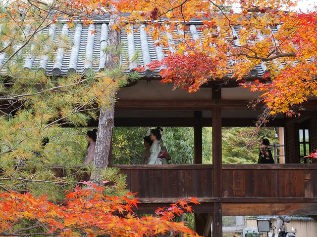 打卡京都清涼寺
