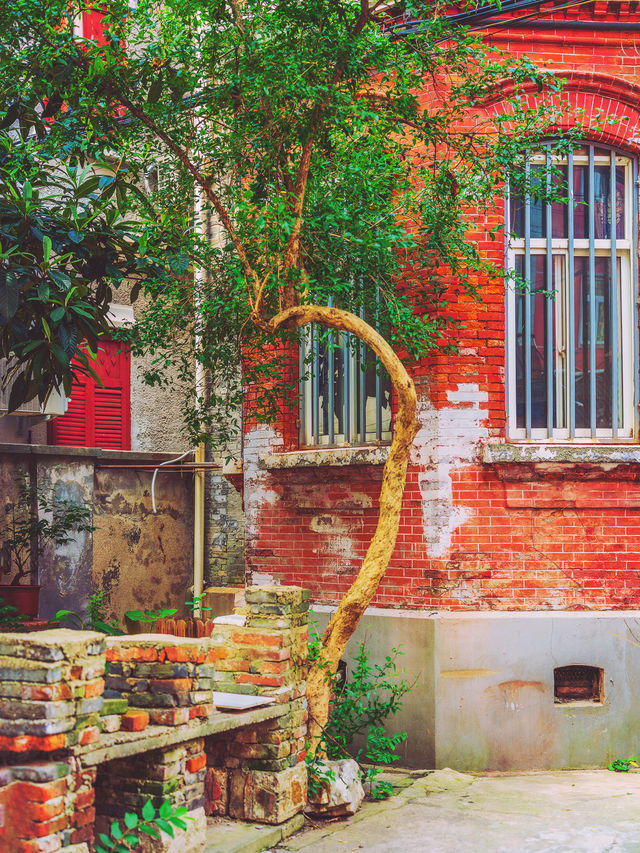 Shanghai's Most Endearing Street—Huangdu Road