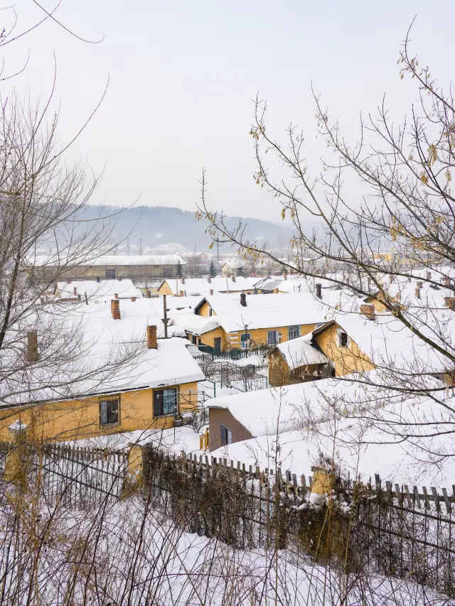 Take my advice! When you come to Harbin, make sure to set aside a day for Hengdaohezi!