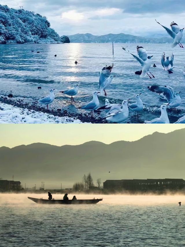 人間仙境｜本以為洱海很美了，直到我去了泸沽湖