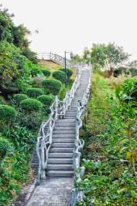 深圳無人知道的小眾打卡點:免預約、免門票