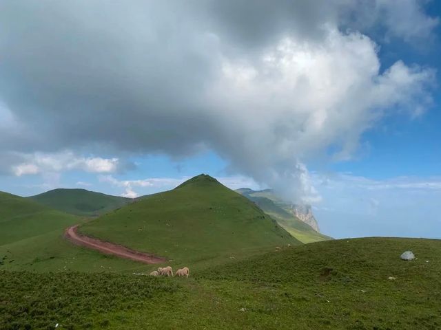 地球的邊緣：涼山州雷波龍頭山大斷崖