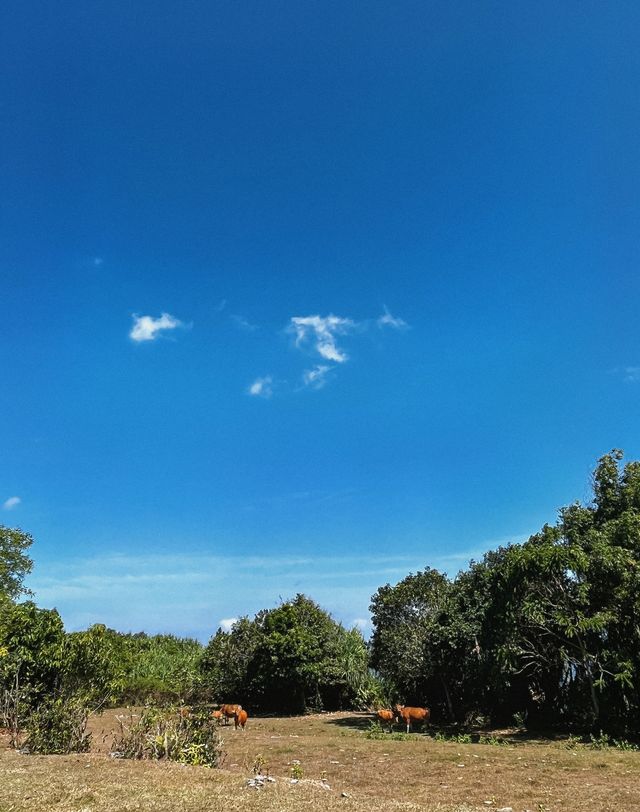 「上帝的眼淚」巴里島藍夢島