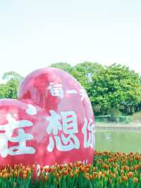 粉紅色沙灘真的太美啦