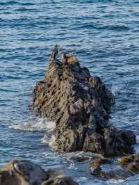 濟州島 原來這才是韓國本地人最愛的海