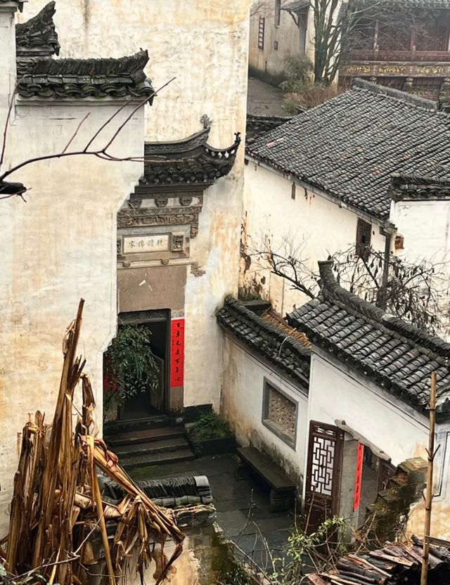 三月賞花去篁嶺，萬畝油菜花海