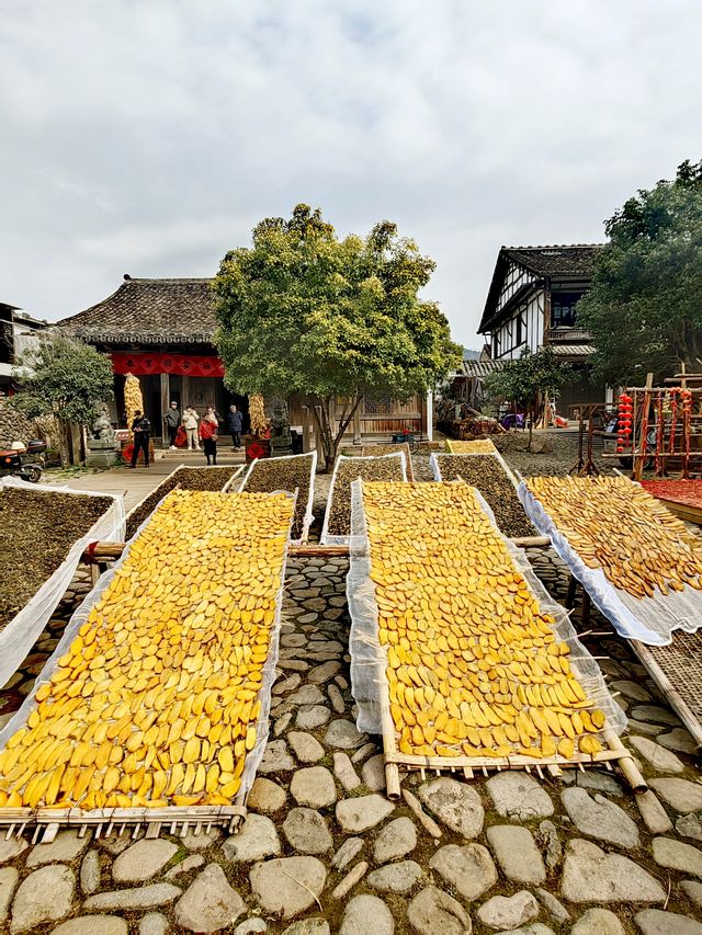 永嘉蒼坡古村，這裡有世上最大的文房四寶