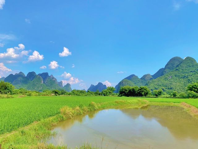 觀賞亮麗的景色，遠離城市的喧囂