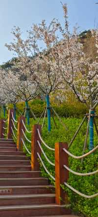 浮山公園越來越美咯