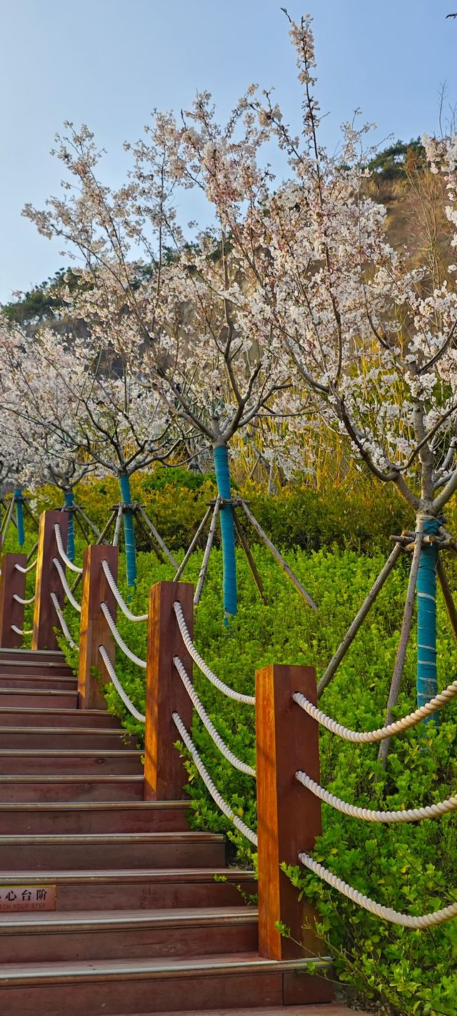 浮山公園越來越美咯