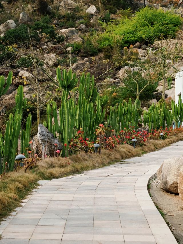 漳州石岩植物園，我幫你們去過啦