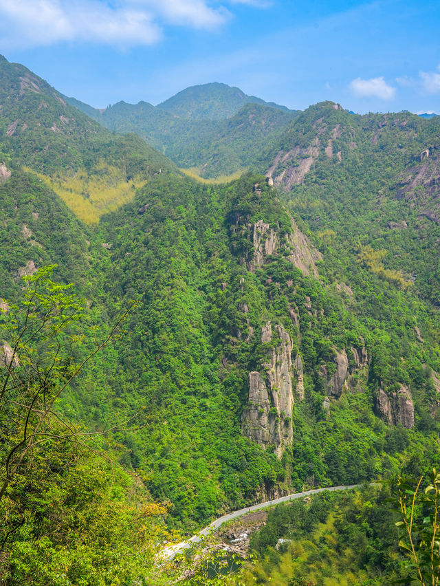 這不是新疆是麗水天然小眾徒步登山氧吧