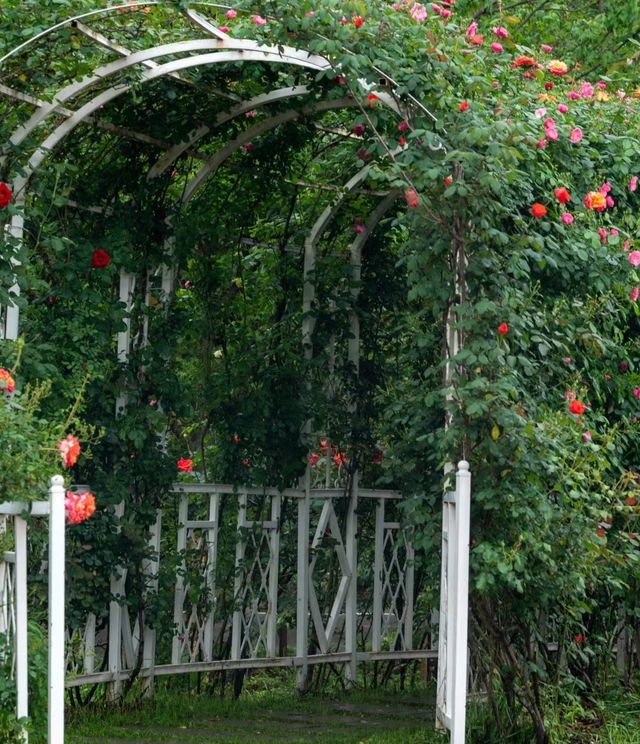 長沙·省植物園|共赴一場關於春天的浪漫花事春天有約 鮮花不誤