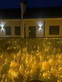 在這個有風的季節,去一次崇明島吧吧!