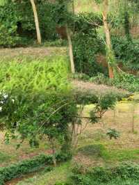 徐聞人民公園最佳遊玩攻略