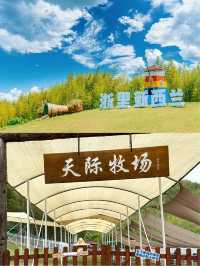 天際森谷山野樂園｜發現了浙江的寶藏樂園！