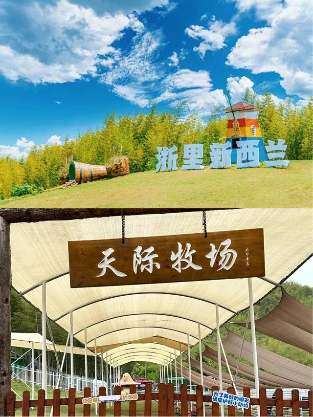 天際森谷山野樂園｜發現了浙江的寶藏樂園！