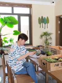 被問煩了！預測合肥下一個約會頂流地！！