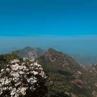 Discover the Enchanting Huangshan Mountains: A Year-Round Gem in Anhui Province