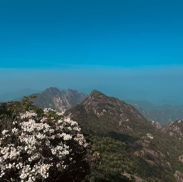 Discover the Enchanting Huangshan Mountains: A Year-Round Gem in Anhui Province