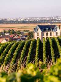 🏰✨ Chateau de Sacy Picks: Marne's Finest Stays 🍇🇫🇷