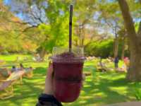 คาเฟ่สายธรรมชาติต้อง mulberry mellow