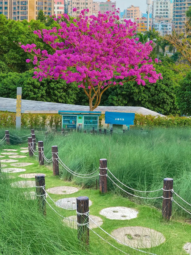 體驗宮崎駿的夏天