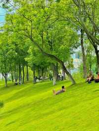 在成都！！！我唯一想去無數次的公園！！