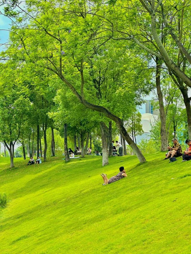 在成都！！！我唯一想去無數次的公園！！