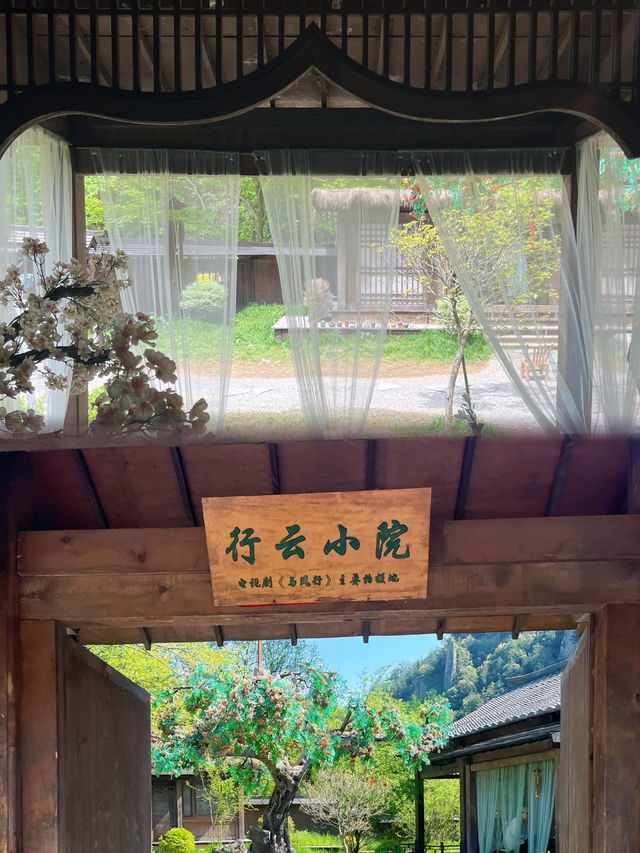 天啊，簡直太美了！後悔來晚了！！