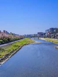 🌸 Kyoto's Hidden Gem: Serene Stay at Soraniwa Terrace 🌸