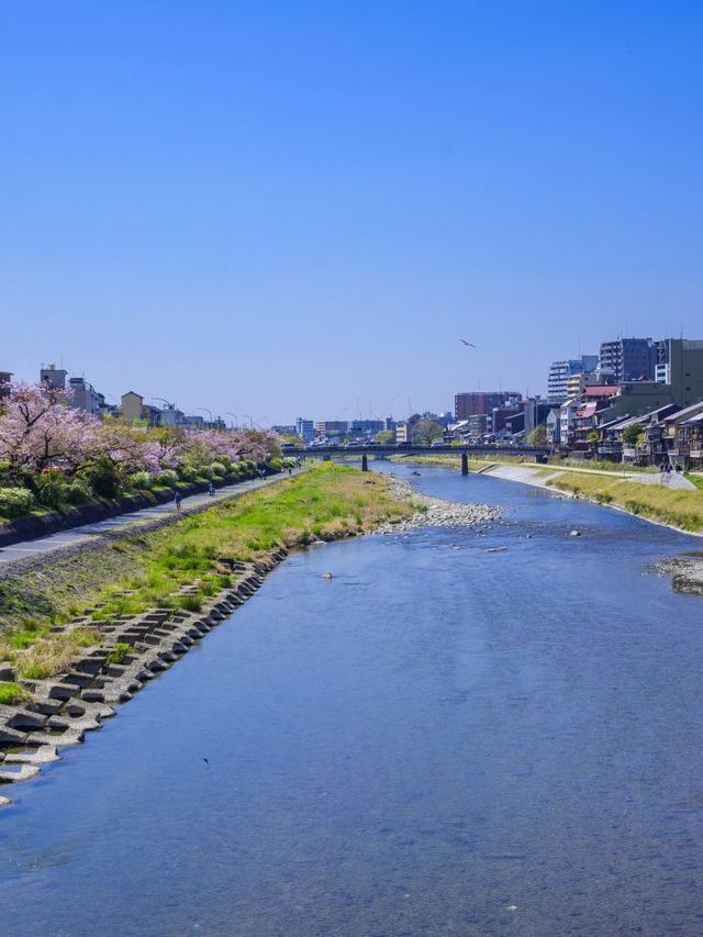 🌸 Kyoto's Hidden Gem: Serene Stay at Soraniwa Terrace 🌸