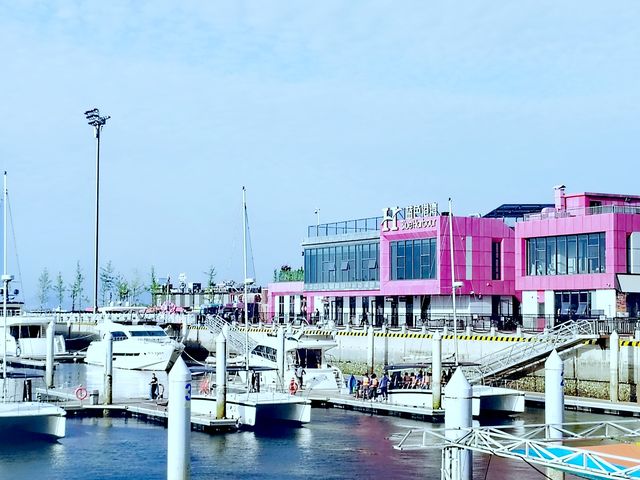 美麗東港