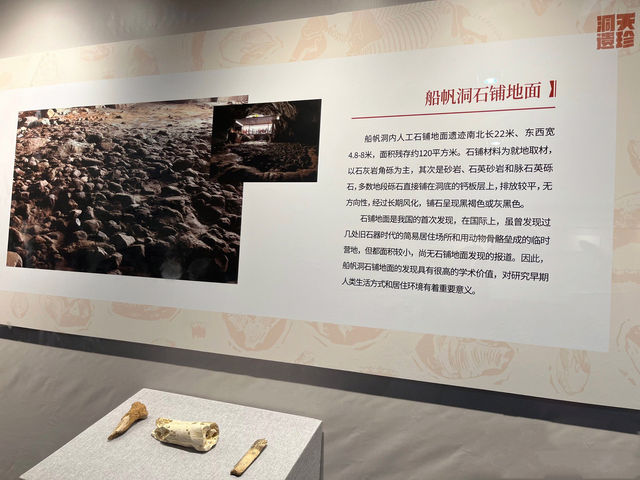別去！臨展已結束！！！