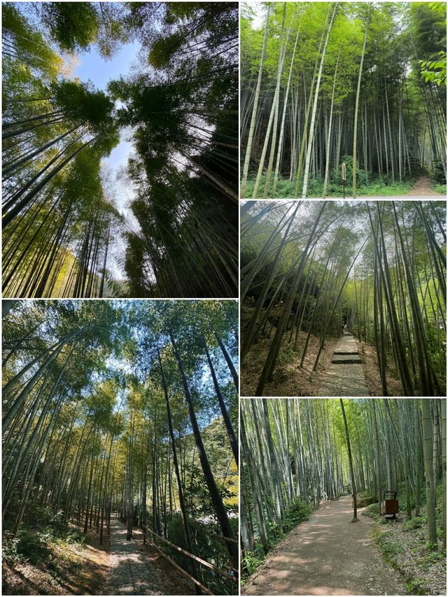 浙東小九寨，天然氧吧，夏天逃離城市徒步玩水好去處！