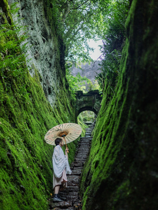 武夷山清涼去處|夏日進山探幽烹茶，漫遊茶谷