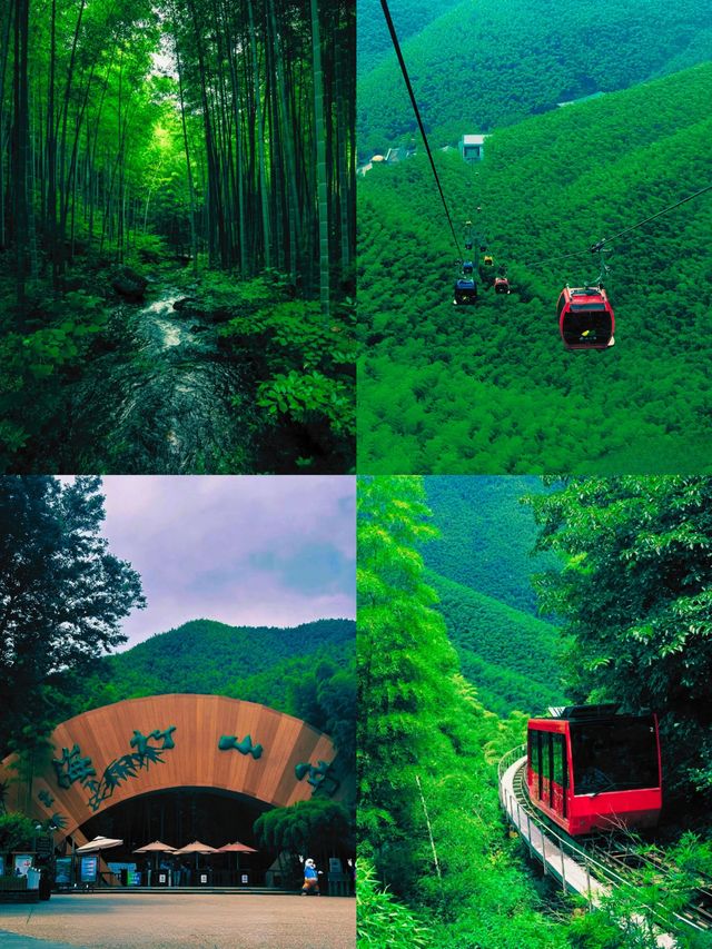 南山竹海 | 夏日避暑勝地，一個清涼宜人的綠色天堂！