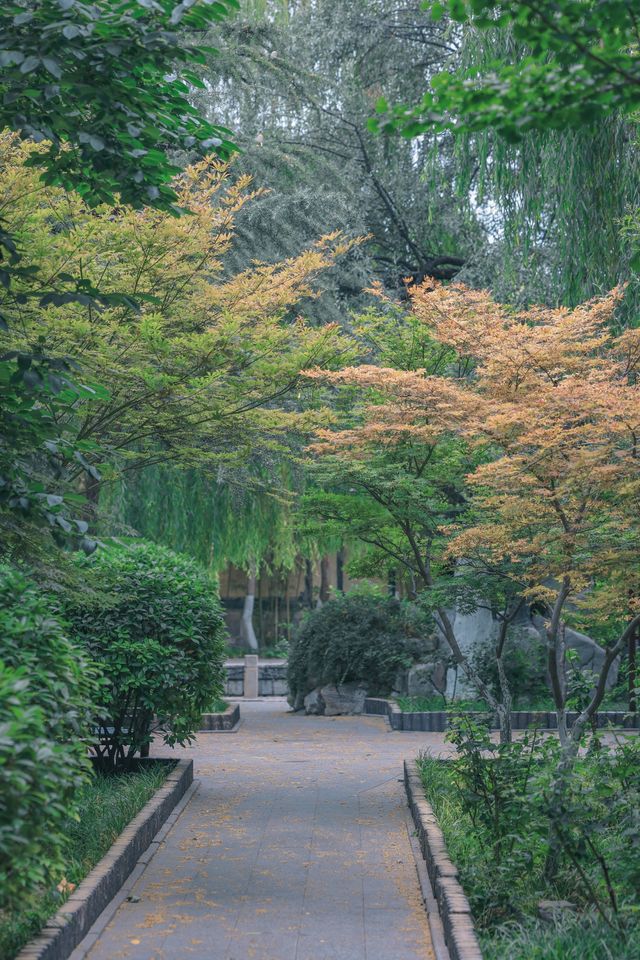珍珠泉｜玉輪滾滾無時已，珠顆涓涓盡日生