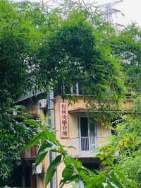 旅遊日記|小眾而美好的金剛碑溫泉老村～