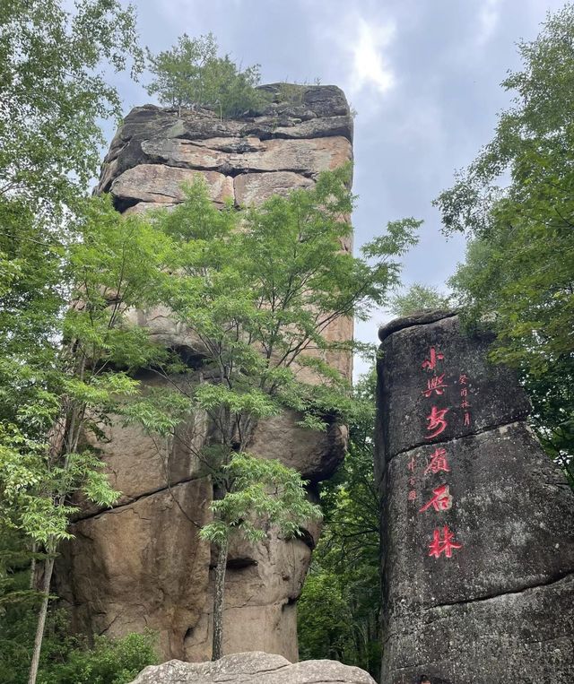 人均800三天两晚，带你畅玩伊春