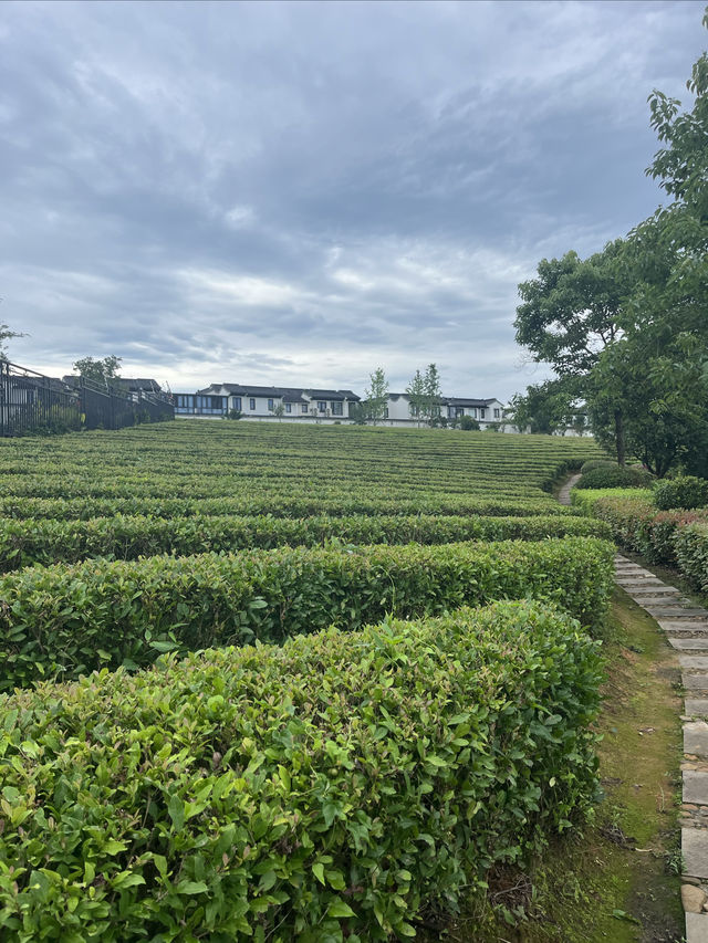 一年四季都可以來小住的地方