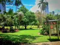 Beautiful City Botanic Gardens Brisbane 🌺🌳