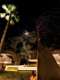🌟 Naoshima's Chic Glamping Experience 🏕️ Art & Ocean Views!