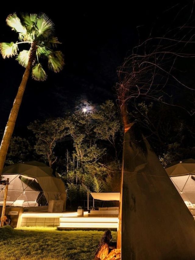 🌟 Naoshima's Chic Glamping Experience 🏕️ Art & Ocean Views!