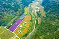 綿延起伏嘅山峰、望之無際嘅花海、清澈不絕嘅溪流、遍佈各處嘅營地民宿。呢度就係充滿浪漫詩意嘅子午花溪。