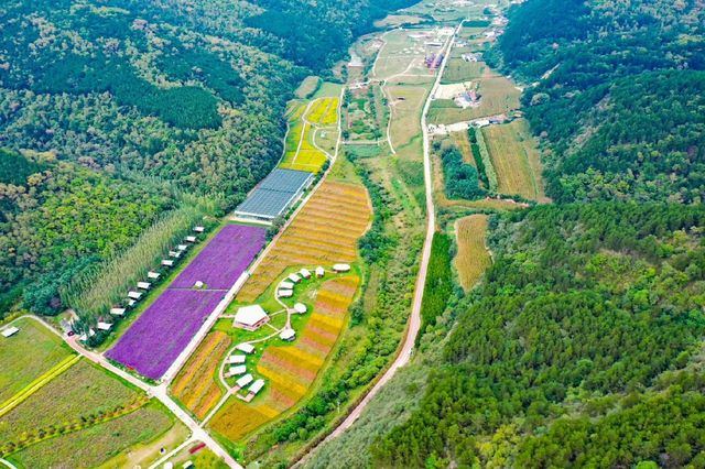 綿延起伏嘅山峰、望之無際嘅花海、清澈不絕嘅溪流、遍佈各處嘅營地民宿。呢度就係充滿浪漫詩意嘅子午花溪。