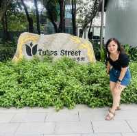 Dutch Flower Town in Shenzhen 💚 Ideal for plant lovers 🪴 